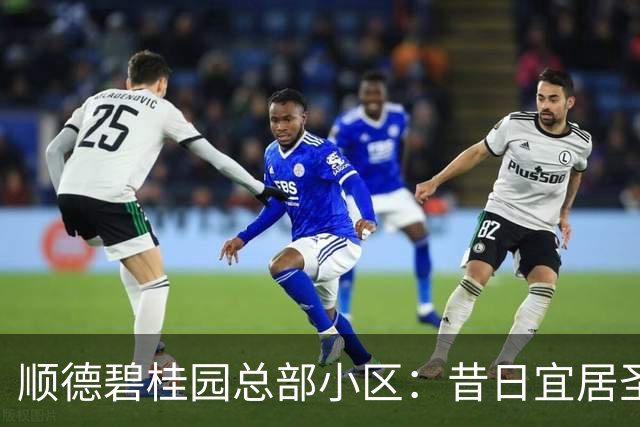 顺德碧桂园总部小区：昔日宜居圣地的困境与反思